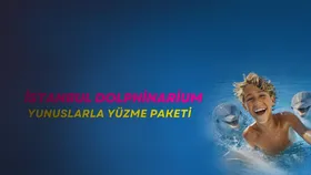 İstanbul Dolphinarium Yunuslarla Yüzme veya Tanışma Paketleri