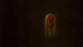 Romeo & Juliet