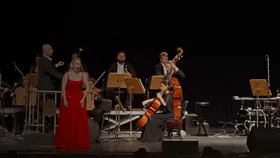 Strauss Concert Show