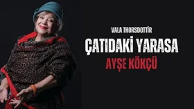 Çatıdaki Yarasa
