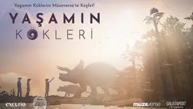 Yaşamın Kökleri - Life Chronicles