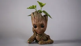 Heykel - Groot