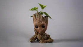 Heykel - Groot