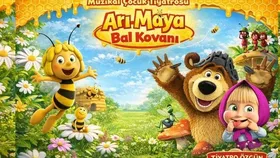Arı Maya Bal Kovanı Çocuk