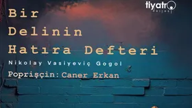 Bir Delinin Hatıra Defteri