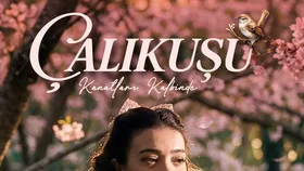 Çalıkuşu - Kanatların Kalbinde