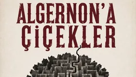 Algernon'a Çiçekler