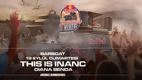 Red Bull Summer Vibes