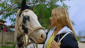 Sihirli Çiftlik (Magic Farm)