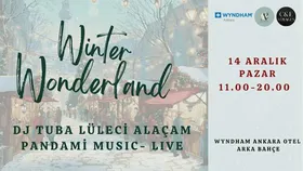 Winter Wonderland