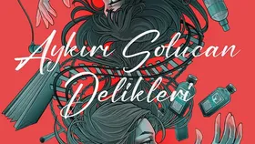 Aykırı Solucan Delikleri