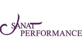 Sanat Performance