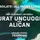 Alican