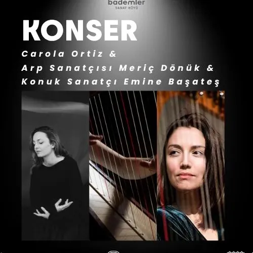 Meriç Dönük