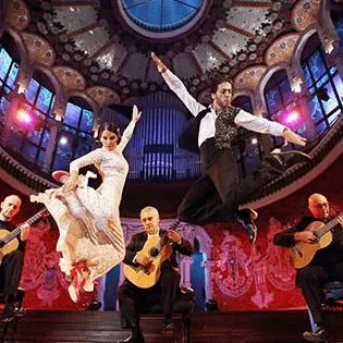 Ali Arango