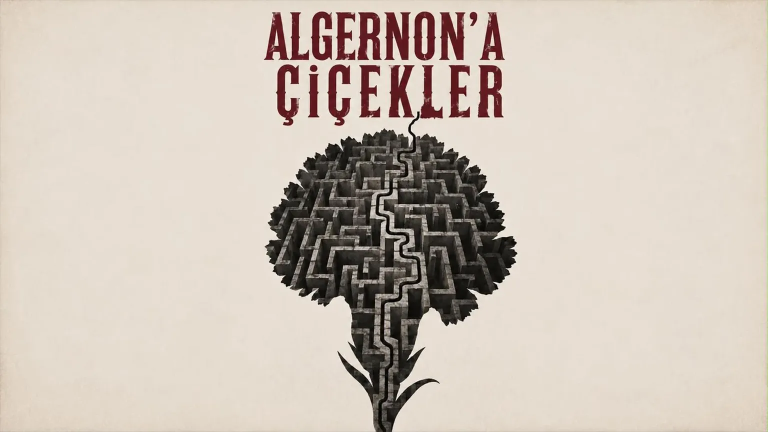Algernon'a Çiçekler