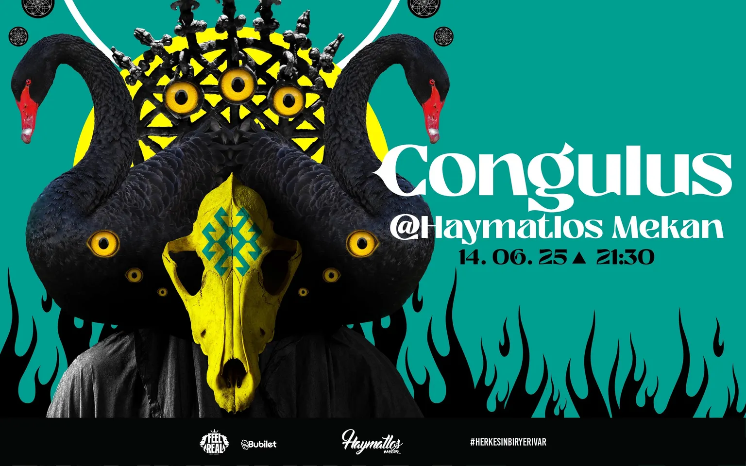 Congulus