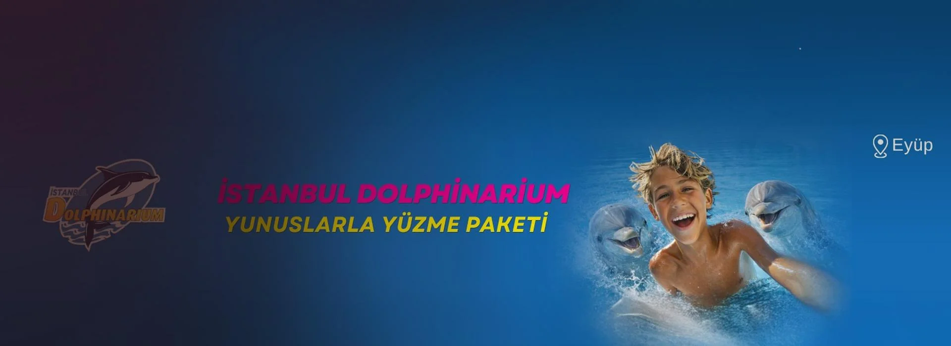 İstanbul Dolphinarium Yunuslarla Yüzme veya Tanışma Paketleri