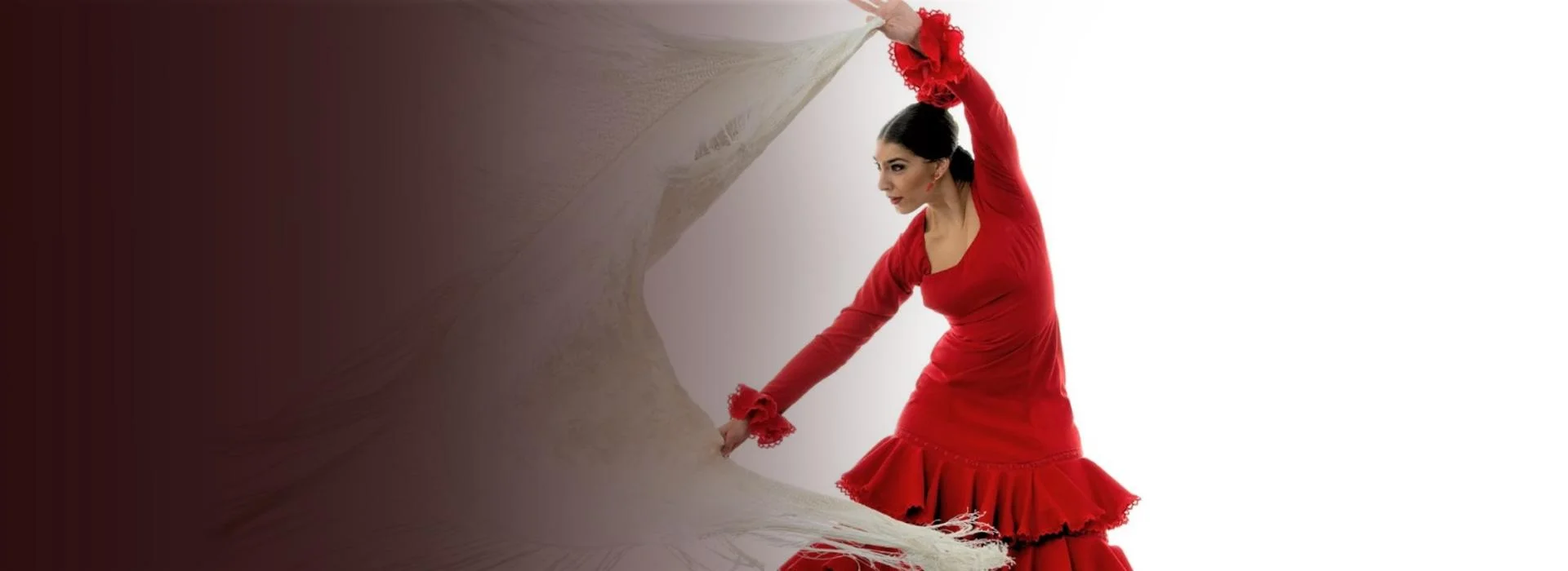 Flamenco Cascada (Flamenko Dans ve Müzik Gösterisi)