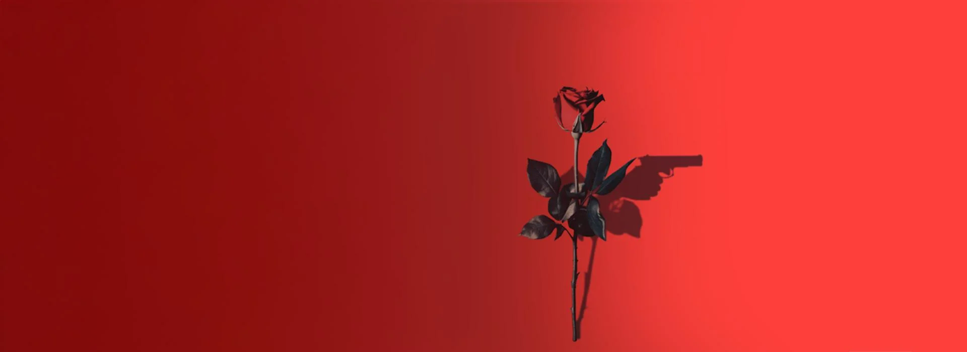 Mi Rosa Sonradan Arabesk Olan