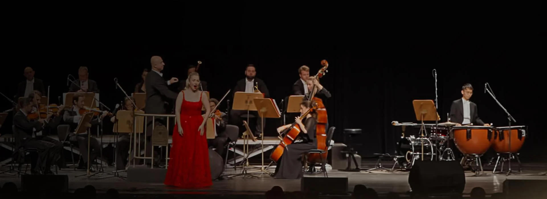 Strauss Concert Show