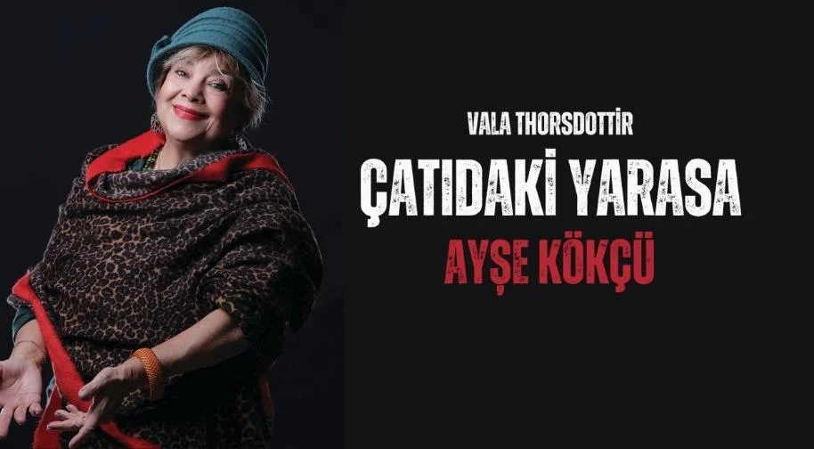 Çatıdaki Yarasa