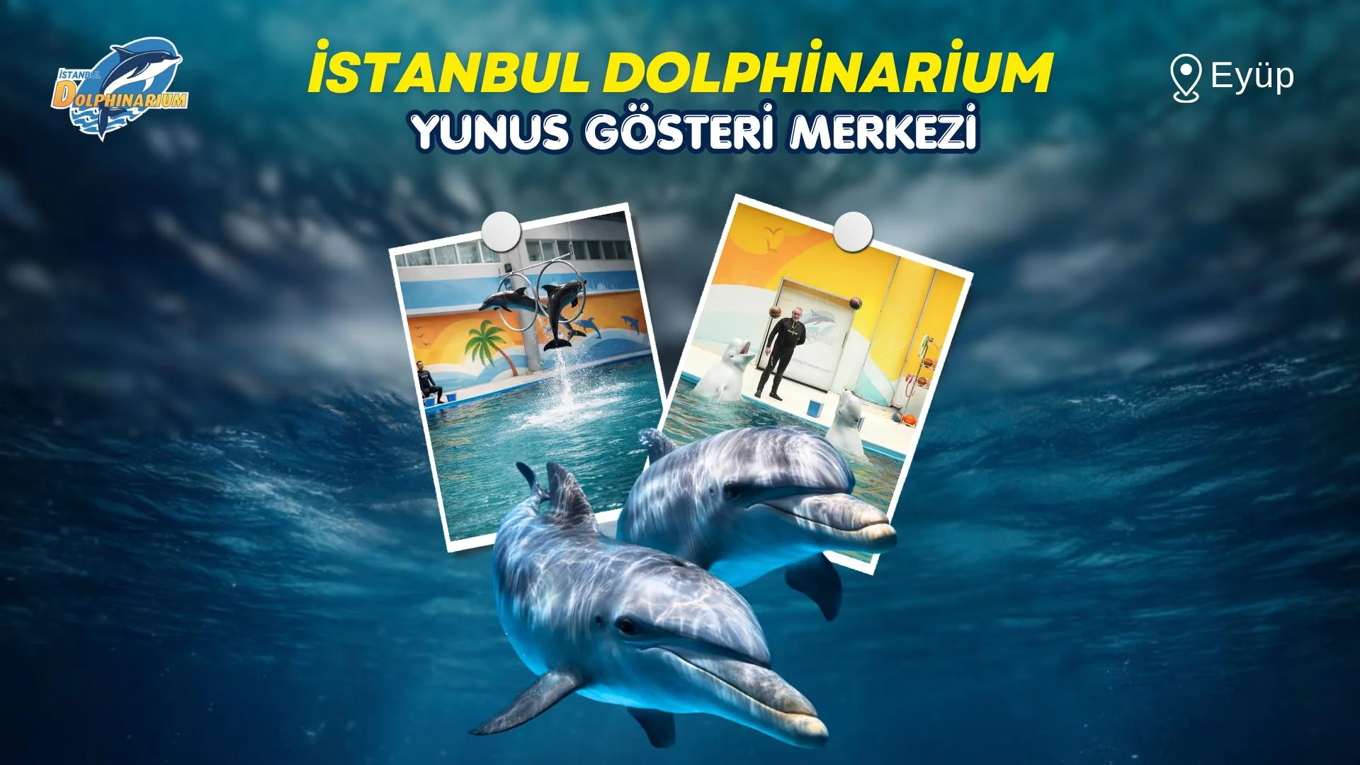 İstanbul Dolphinarium Yunus Gösteri Merkezi