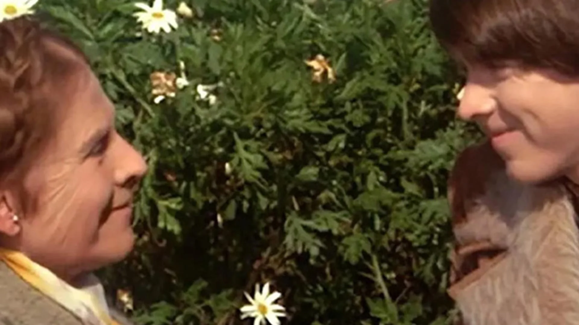 Harold ve Maude
