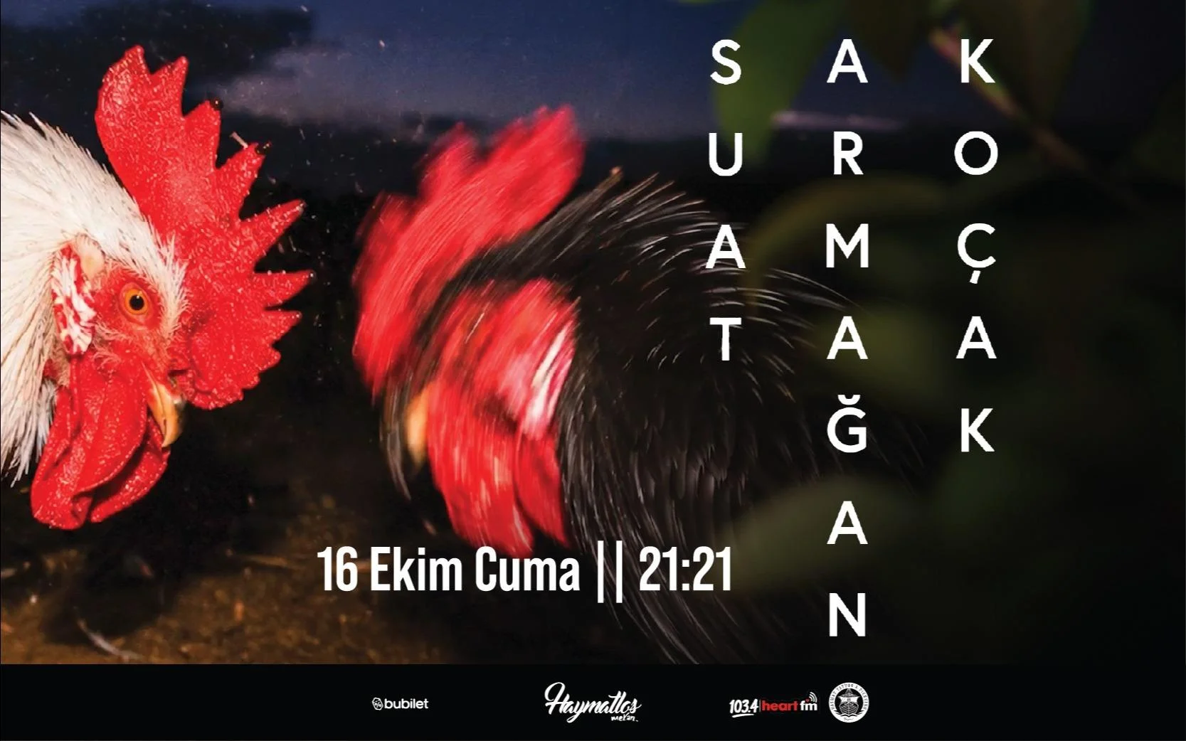 Suat Armağan Koçak